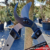 Сучкоріз обвідний Felco / Фелко 221-90 (Швейцарія), фото 4
