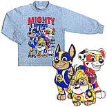 Водолазка з начосом Щенячий патруль 07.10.12, фото 5