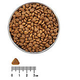 Корм для котів з куркою Екко гранула преміум класу 5 кг, фото 3