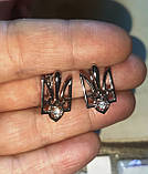 Сріблясті сережки з гербом України від студії LadyStyle.Biz, фото 2