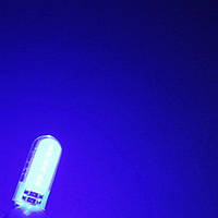 Лампи на габарит/Номерні знаки (Сине світло) Діодні в силіконі - Цоколь T10 (W5W) - 2шт