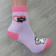 Шкарпетки дитячі високі зимові з махрою р.16 (5-6 років) мордочка асорті ЕКО 30032384, фото 5