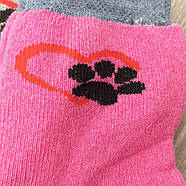 Шкарпетки дитячі високі зимові з махрою р.16 (5-6 років) мордочка асорті ЕКО 30032384, фото 8