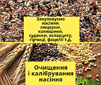 Куплю семена кормовых трав: люцерны, клевера, горчицы, фацелии, эспарцета