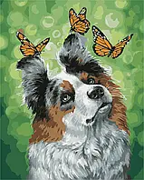 Картина по номерам Собака и бабочки 50*40 см