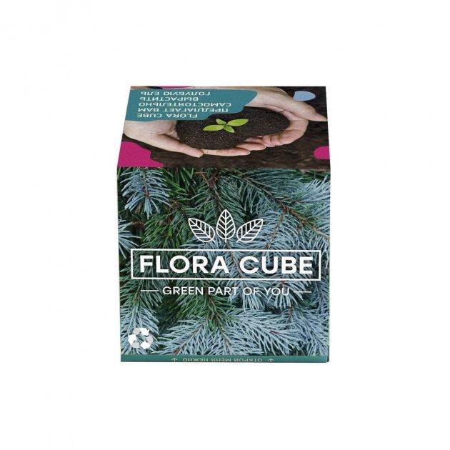 Подарочный набор для выращивания растений экокуб FLORA CUBE "Голубая Ель" - фото 2 - id-p1707754030