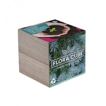 Подарунковий набір для вирощування рослин екокуб FLORA CUBE "Блакитна Ялина"