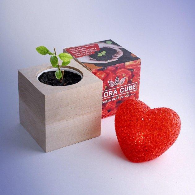 Подарочный набор для выращивания растений FLORA CUBE "Перец Хабанеро" - фото 3 - id-p1707760060