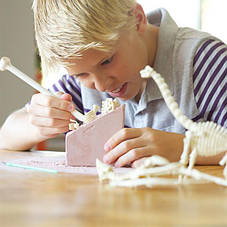 Набір для розкопок 4M Скелет трицератопса (00-03228), фото 3