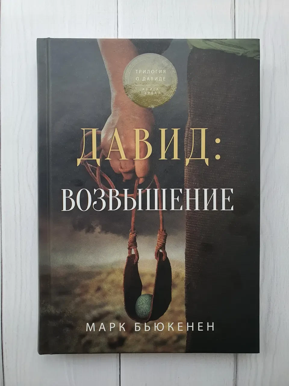 Давид Возвышение Книга 1 Марк Бьюкенен