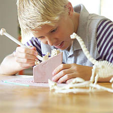 Набір для розкопок 4M Скелет стегозавра (00-03229), фото 3