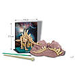 Набір для розкопок 4M Скелет стегозавра (00-03229), фото 7