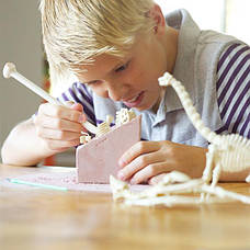 Набір для розкопок 4M Скелет брахіозавра (00-03237), фото 5