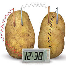 Набір для дослідів 4M Картопляний годинник (00-03275), фото 2