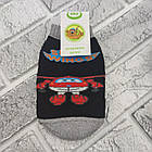 Шкарпетки дитячі середні зимові з махрою р.10 (0-1 рік) вертоліт асорті ЕКО 30036869, фото 2