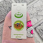 Шкарпетки дитячі середні зимові з махрою р.10 (0-1 рік) LOL асорті ЕКО 30036870, фото 3