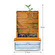 Набір для вирощування рослин та експериментів 4М Лабіринт (00-03352), фото 6