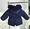 Зимова куртка для дівчинки 8819 177, Синий, Для девочек, Зима, 2, 2 года, фото 2