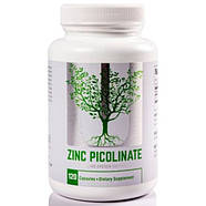 Universal Zink Picolinate 120 caps 04.23, фото 3