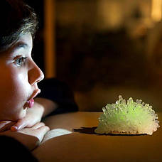 Набір для вирощування світних кристалів 4M (00-03918/EU), фото 4