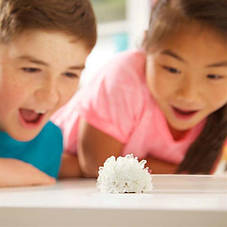 Набір для вирощування світних кристалів 4M (00-03918/EU), фото 5