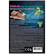 Набір для розкопок 4M Сяючі зуби акули (00-05918), фото 3