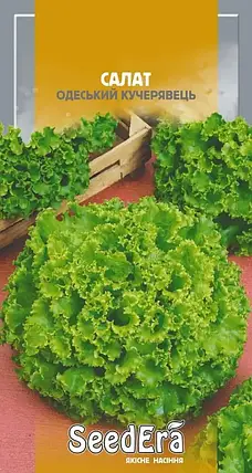 Насіння салату Одеський кучерявець, 10 г — світло-зелений, SeedEra, фото 2