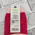 Шкарпетки дитячі високі зимові з махрою р.16 (5-6 років) мордочка асорті ЕКО 30032384, фото 4