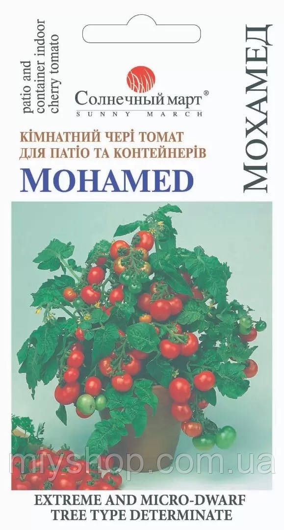Томат карликовий Мохамед 20 шт. Сонячний март, фото 1