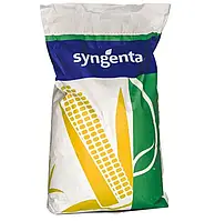 Феномен (Syngenta) Сингента Гибрид Кукурузы ФАО-200