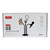 Кільцева лампа XO BGD006/LS-90-6 3in1 (20pc), Black, фото 2