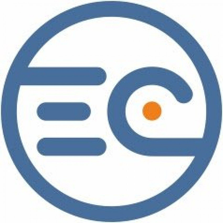 Коляски 2 в 1 El Camino