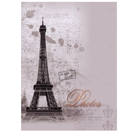 Фотоальбом "UFO" 20sheet S22х32 Old Paris(12)