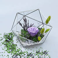 Флорариум ARTIS GREEN Violet rose 1036821720