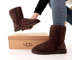 Уги жіночі UGG 32292 коричневі 37