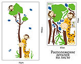 Інтер'єрна наклейка на стіну Дитяча — Зрістомір Звірята AY867, фото 3
