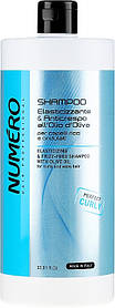 Шампунь Brelil Numero Perfect Curly для кучерявого волосся з оливковою олією 1 л (8011935075089)