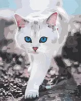 Раскраска по номерам Кошка с голубыми глазами 50*40 см
