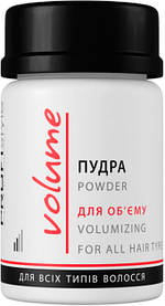 Пудра PROFIStyle Volume для об'єму 10 г (4820003291641)