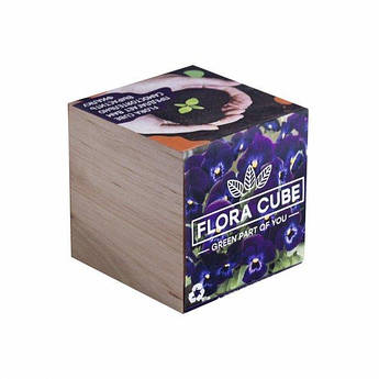 Подарунковий набір для вирощування рослин FLORA CUBE "Фіалка" залишити відгук