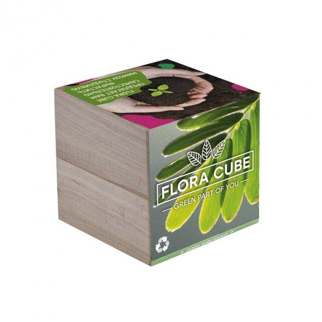 Подарочный набор для выращивания растений экокуб FLORA CUBE "Мимоза стыдливая" - фото 2 - id-p1708337741