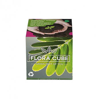 Подарунковий набір для вирощування рослин екокуб FLORA CUBE "Мимоза соромлива"