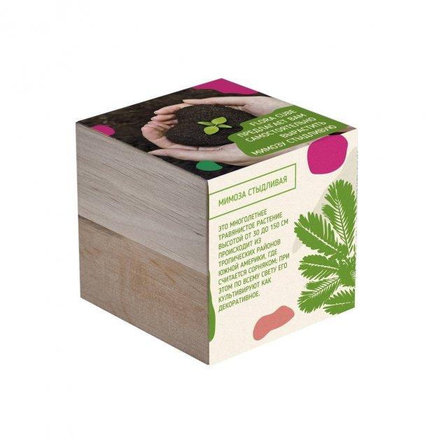Подарочный набор для выращивания растений экокуб FLORA CUBE "Мимоза стыдливая" - фото 3 - id-p1708337741