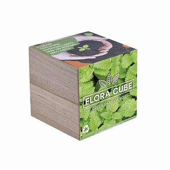 Подарунковий набір для вирощування рослин FLORA CUBE "Меліса"