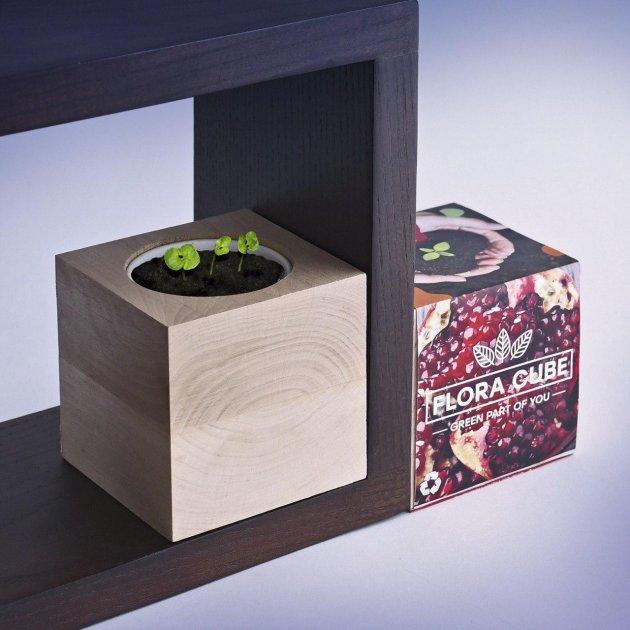 Подарочный набор для выращивания растений FLORA CUBE "Карликовый Гранат" - фото 3 - id-p1708341048