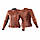 Shima Monaco Lady Jacket Brown, XS Мотокуртка шкіряна жіноча, фото 3