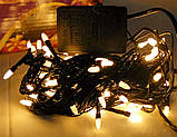 Новорічна світлодіодна гірлянда W-3 біла 100Led, фото 3