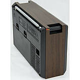 Радіоприкладник акумуляторний Golon RX-9922 з MP3 плеєром, MicroSD, USB, FM радіо, фото 5