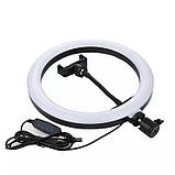 Кільцева LED лампа RING FILL LIGHT M-33 (33см), фото 4