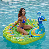 Плотик 57250sh INTEX, Павич, 193-163-94 см, в коробці, фото 2